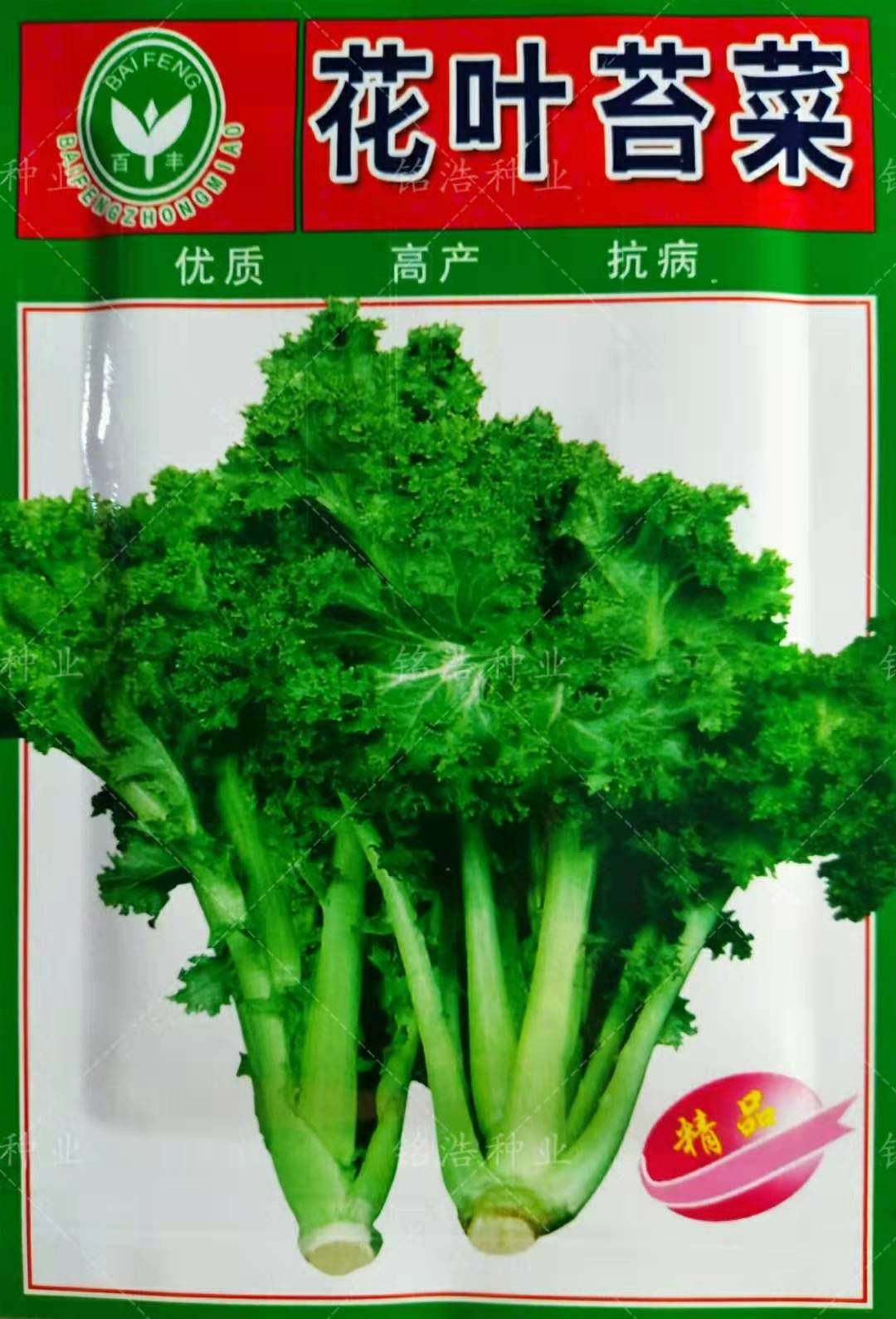 花叶苔菜种子台菜籽春夏秋冬四季播农家菜园阳台抗病蔬菜特菜籽孑