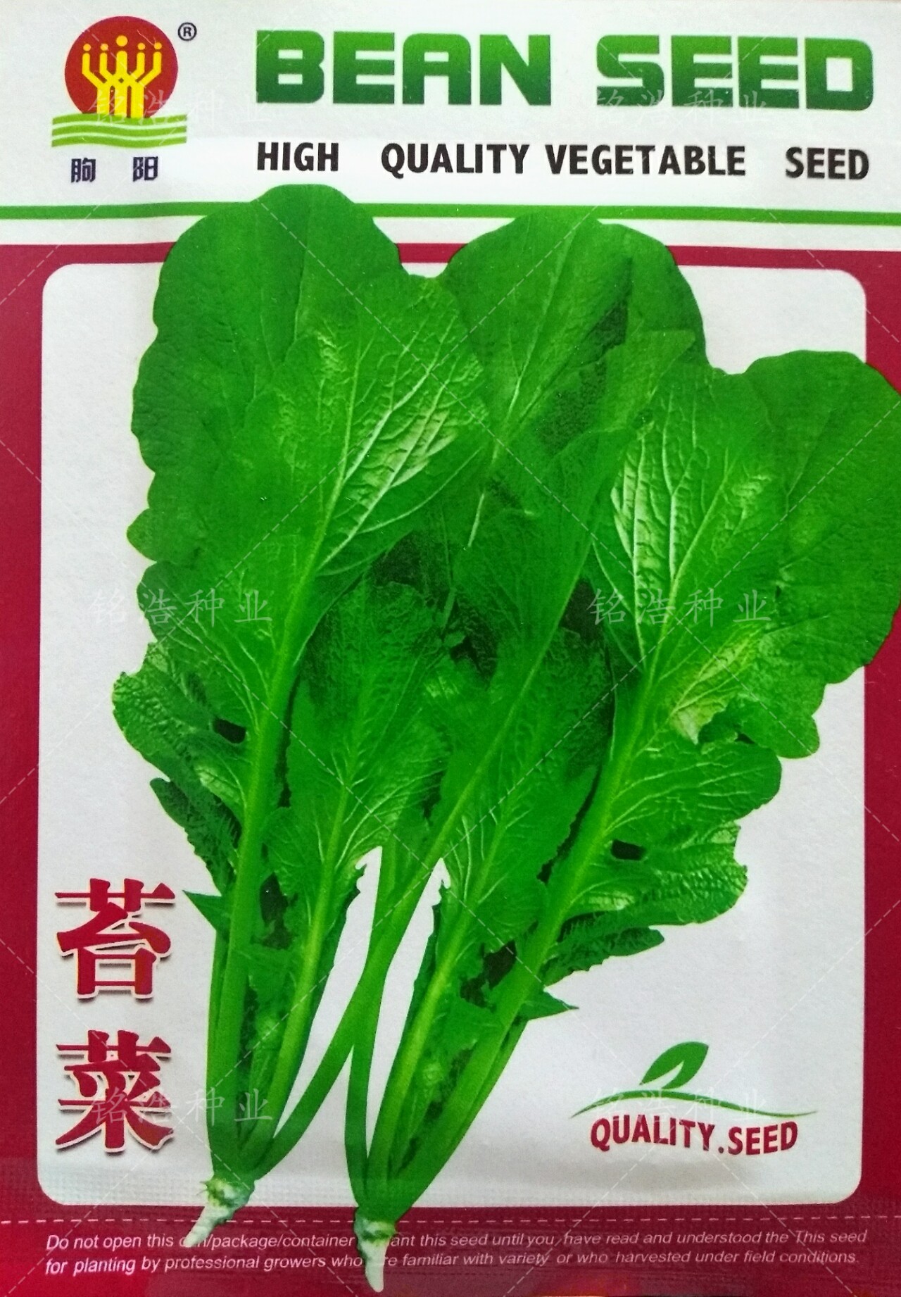 精选圆叶苔菜种子台菜籽春夏秋冬四季播农家菜园阳台蔬菜特菜籽孑