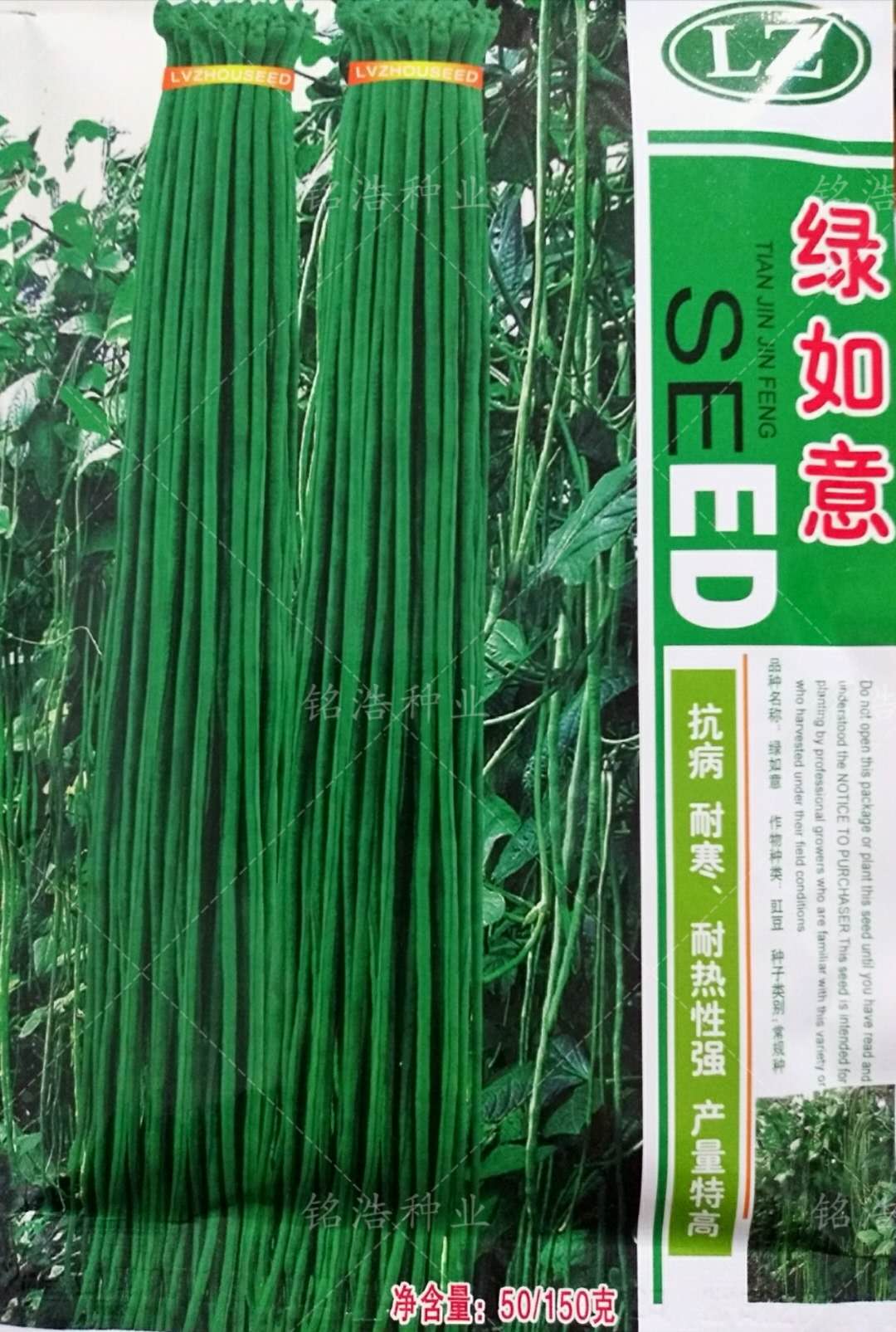 特长耐热高产蔬菜春秋绿如意