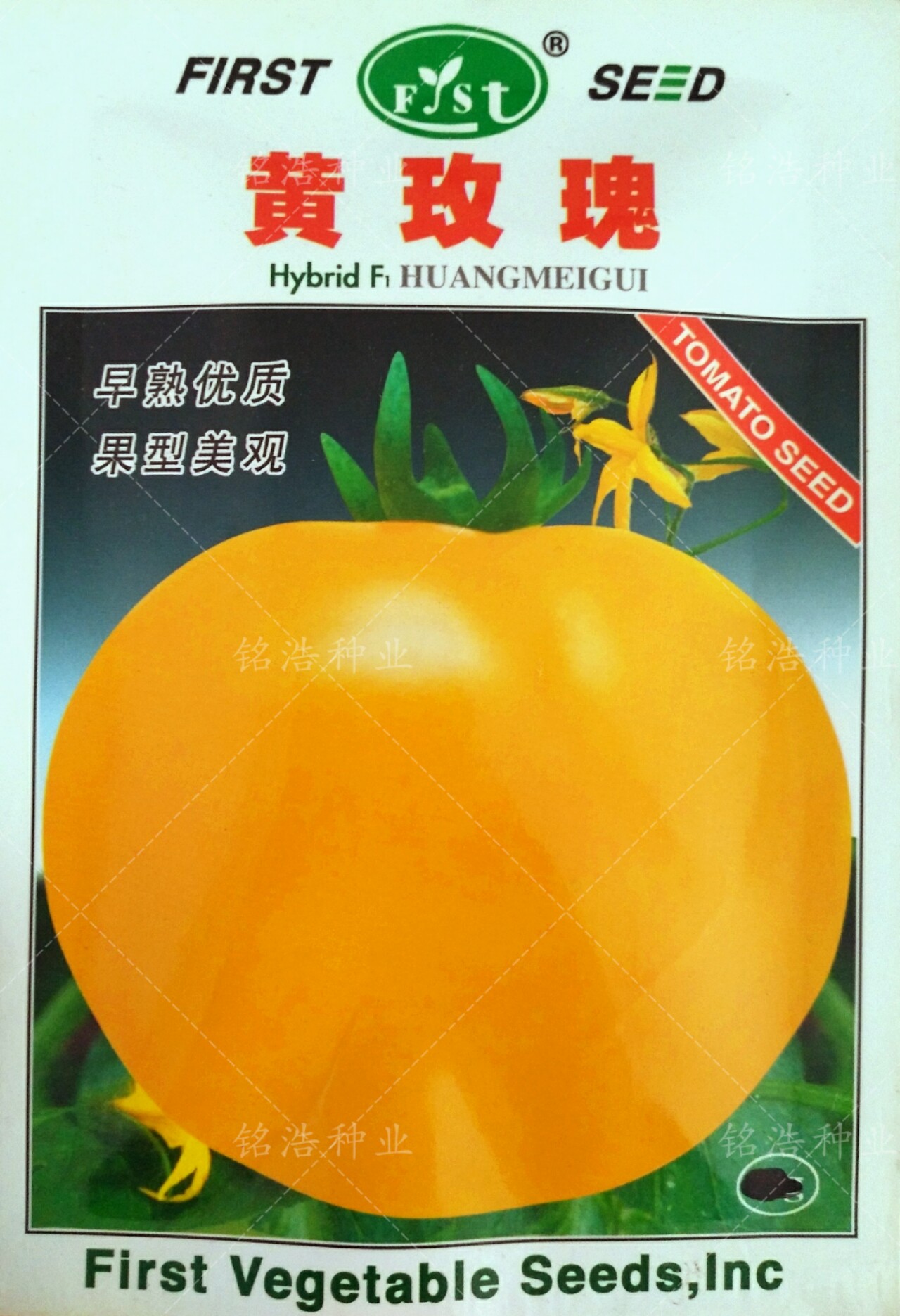 黄玫瑰黄柿子种子四季农家老品种抗病西红柿沙瓤大番茄籽蔬菜种孑