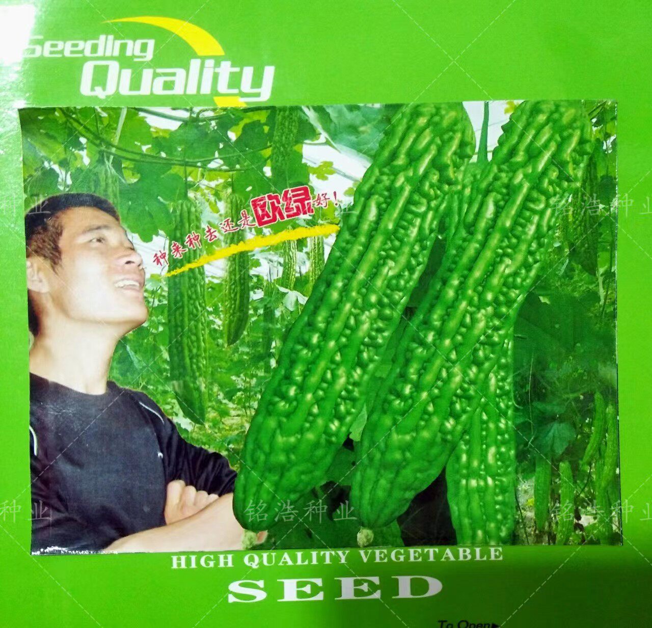 早熟蔬菜种子疙瘩绿苦瓜籽四季播耐热耐低温抗病杂交苦瓜种孑欧绿
