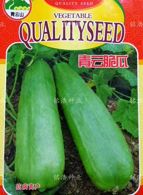 青云脆瓜种子菜瓜捎瓜籽早熟一窝猴种籽四季蔬菜农家生吃水果包邮