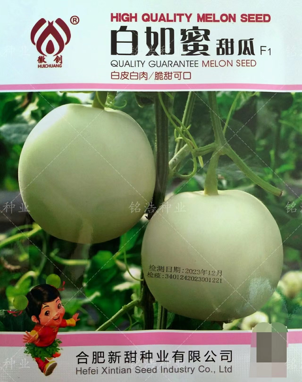 甜瓜种子香瓜脆甜白皮白肉甜瓜高产春夏季露天基地种白如蜜甜瓜籽