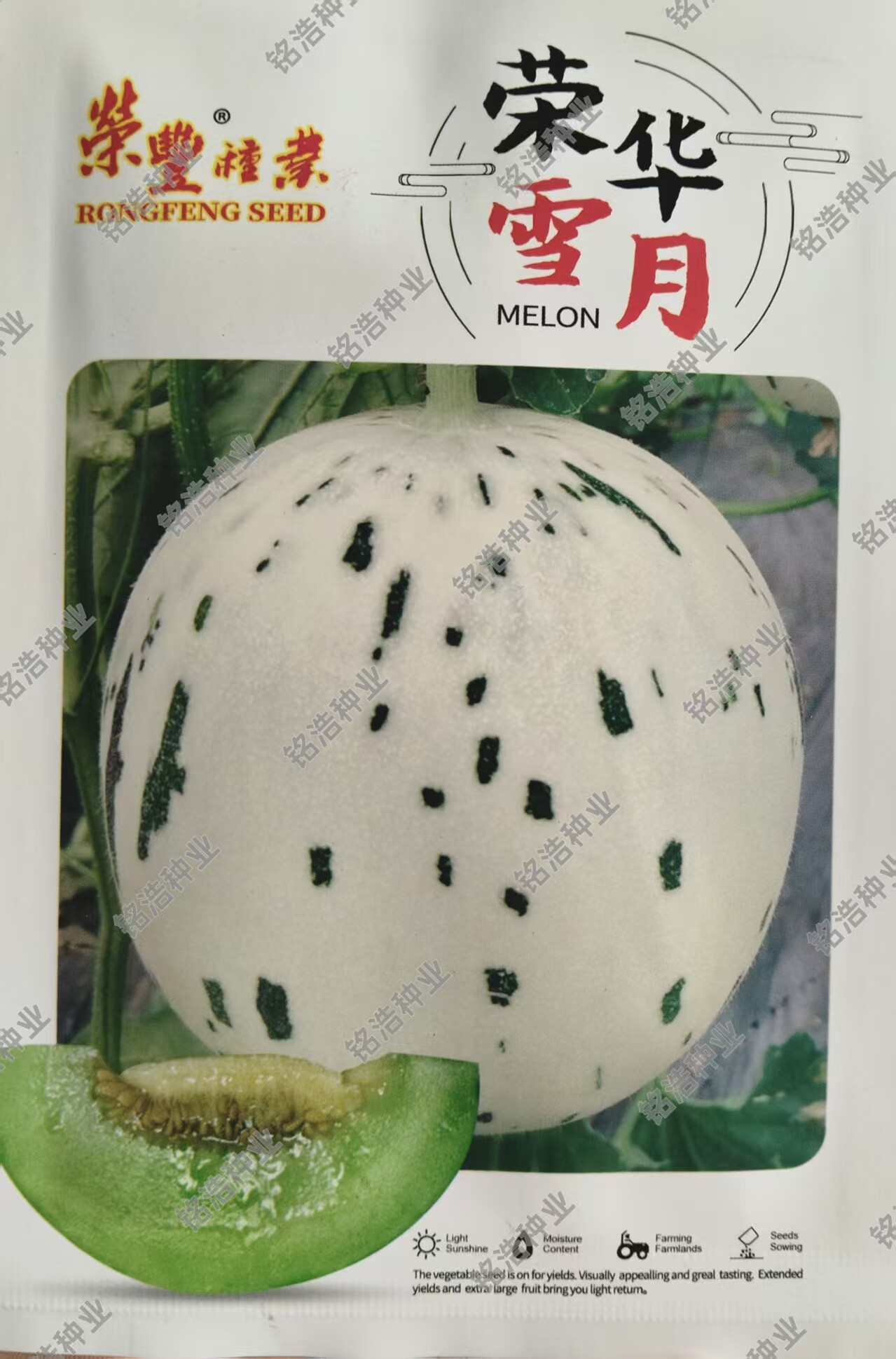 甜瓜种子香瓜脆甜白皮绿肉甜瓜高产春季露天基地种甜瓜籽荣华雪月
