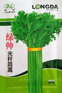 绿帅光杆茼蒿种子茼蒿同蒿蓬蒿蒿菜菊花菜皇帝菜多次采收阳台秋季