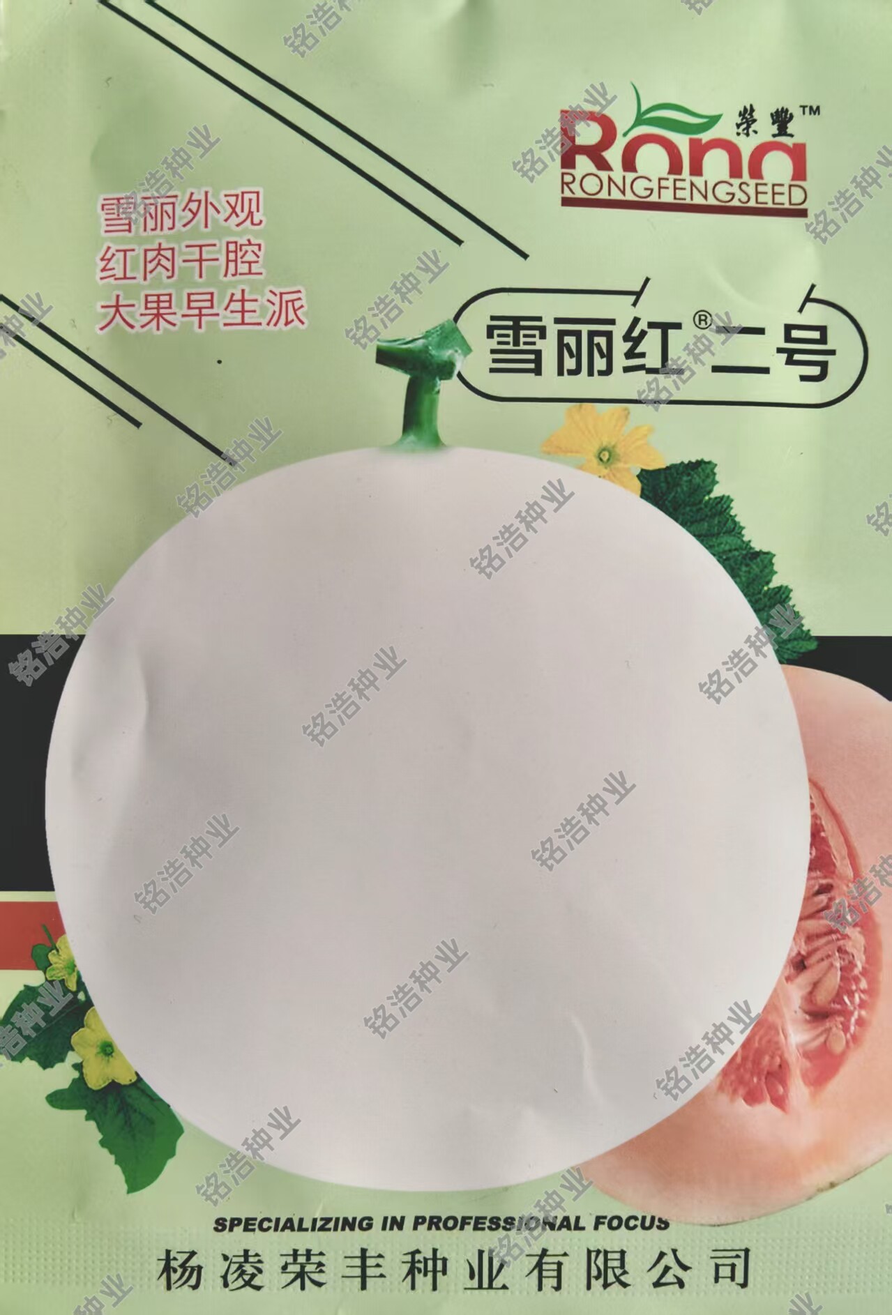 白皮甜瓜种子肉脆圆甜瓜种籽香瓜超甜春夏季水果蔬菜孑雪丽红二号