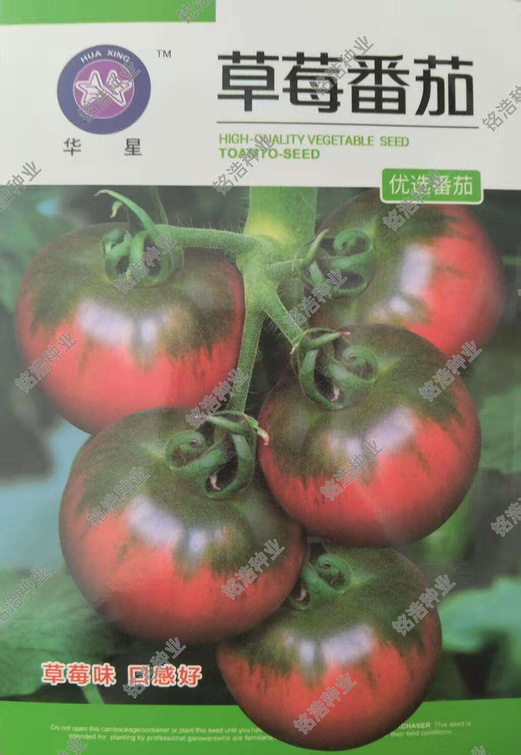 中果草莓番茄种子耐热东北油皮番茄铁皮柿子肉厚水果西红柿蔬菜籽