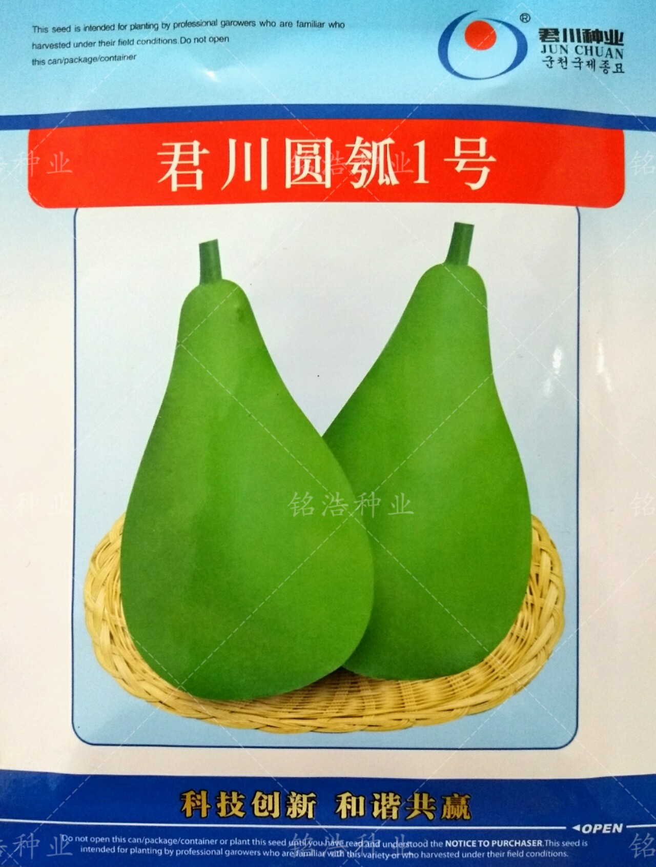 君川圆瓠1号瓠瓜种子耐热耐寒蒲瓜食用瓠子瓜菜葫芦籽孑春秋季播