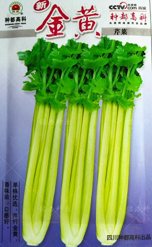四川种都金黄芹菜种子 彩色黄杆 蔬菜种籽阳台秋冬季四季盆栽菜孑