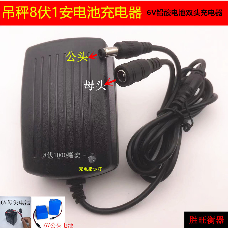8V1A百鹰吊磅充电器(6V电池专用)图片