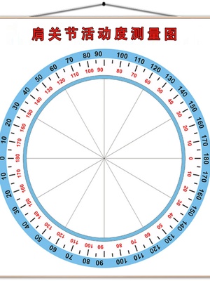 人体关节活动度检测图墙纸颈腰腿痛肩关节外展旋范围圆形测量表