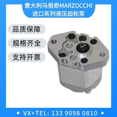 马祖奇液压泵MARZOCCHI齿轮泵0.5D0.50GRO 0.5D0.75 0.5D1.00油泵