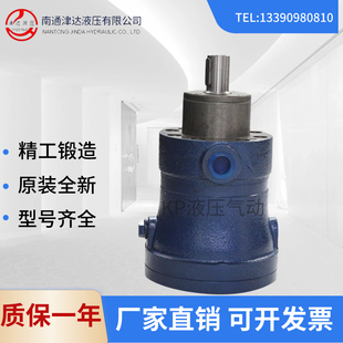 1B定量轴向柱塞泵 250MCY14 南通津达液压2.5 160