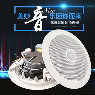 迪士普DSPPA吸顶音响天花喇叭DSP802吊顶背景音乐公共广播DSP501