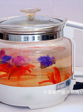 也是加厚多功能银耳防干烧养生壶