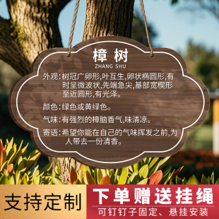 亚克力树牌挂牌定制植物果树树木标识牌介绍牌树名牌树铭牌花草牌