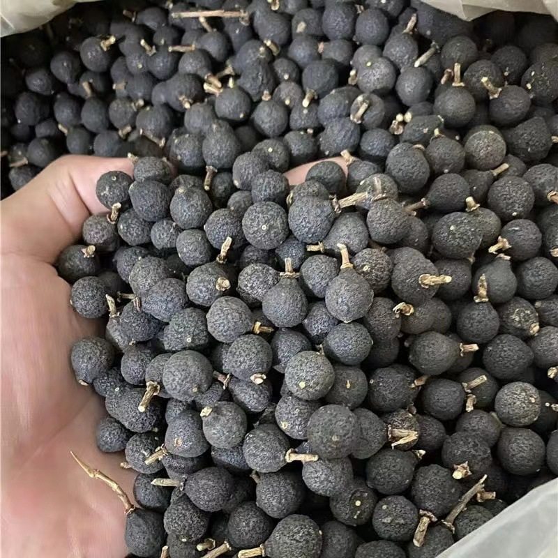 2025小柑胎正宗新会生晒柑胎小青柑果茶陈皮茶BB果黑灵果