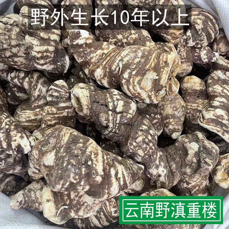 云南滇重楼中药材独角莲野外生长重楼正品七叶一枝花蚤休草批发