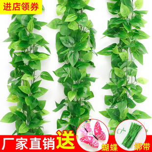 仿真绿植物藤条绿叶吊顶装饰假花藤蔓阳台遮挡水管道塑料葡萄叶子