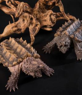 写实款鳄狂3大鳄龟仿真模型摆件大鳄龟爬宠潮玩真鳄龟手办乌龟