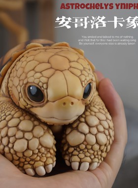 博物志｜2025吨吨动物园龟系列第五弹安哥洛卡拟鳄龟潮玩手办模型