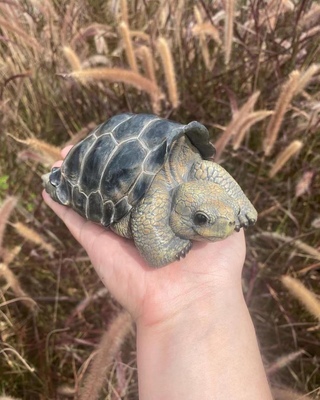 博物志原创出品 加拉帕戈斯象龟孤独乔治 爬宠模型陆龟手办摆件