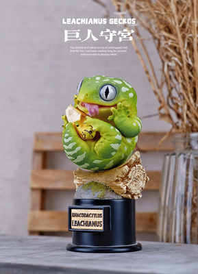 博物志原创｜守宫物语-龙颜大悦2弹巨人守宫睫角守宫爬宠潮玩手办