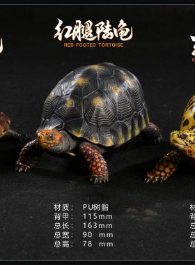 写实款金钱龟三线闭壳龟红腿龟东部箱龟模型爬宠手办仿真乌龟摆件