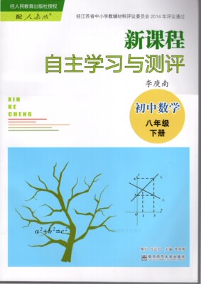 新课程自主学习与测评初中数学