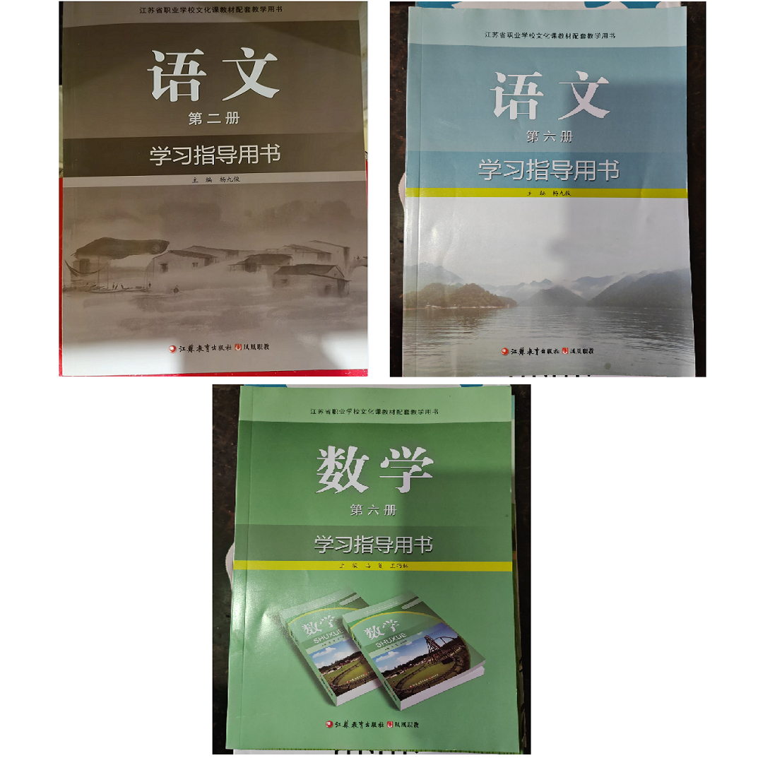 语文第二册学习指导用书
