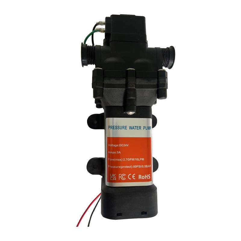 新款DP160隔膜泵12V24V洗车机12L大流量泵浇花智能水泵包邮