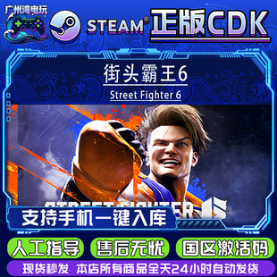 cdk Street Fighter Steam正版 激活码 街头霸王6 现货秒发 国区