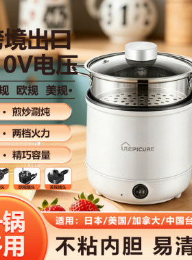 出口110v伏美规小型电煮锅