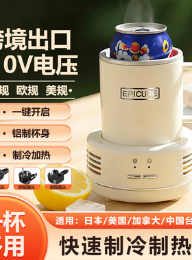 110v美规快速制冷杯降温神器