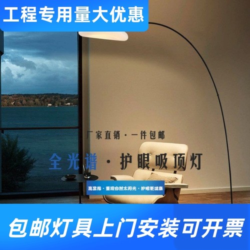 北欧钓鱼落地灯 全光谱护眼现代创意客厅网红ins云朵氛围立式工厂