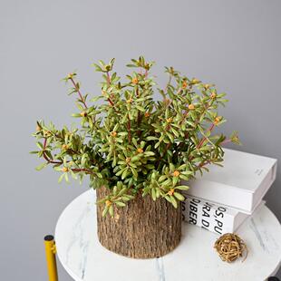 手感桃zj642792金娘家仿真植物高阔叶马饰台齿苋太阳花居阳装盆栽