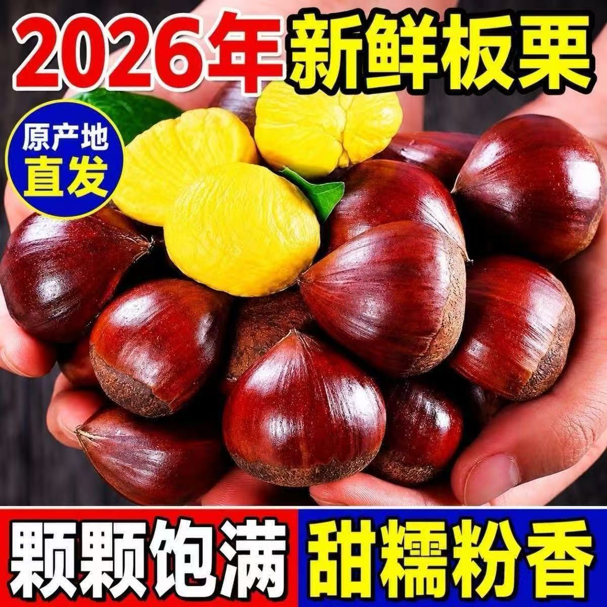 山东高山老树黄心油板栗新鲜生板栗野生树精选油栗街边炒货推荐