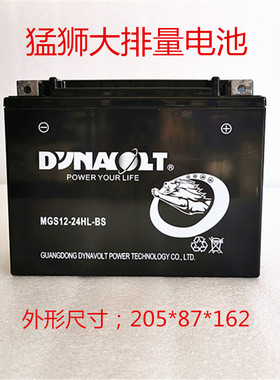 庞巴迪行政版倒三轮电池蜘蛛侠RTS1000C/990猛狮摩托车电瓶12v24A