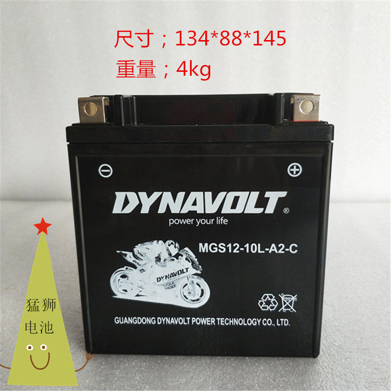 猛狮摩托车电瓶12v10L-A2望江GN250三轮雅马哈XV250通用胶体电池