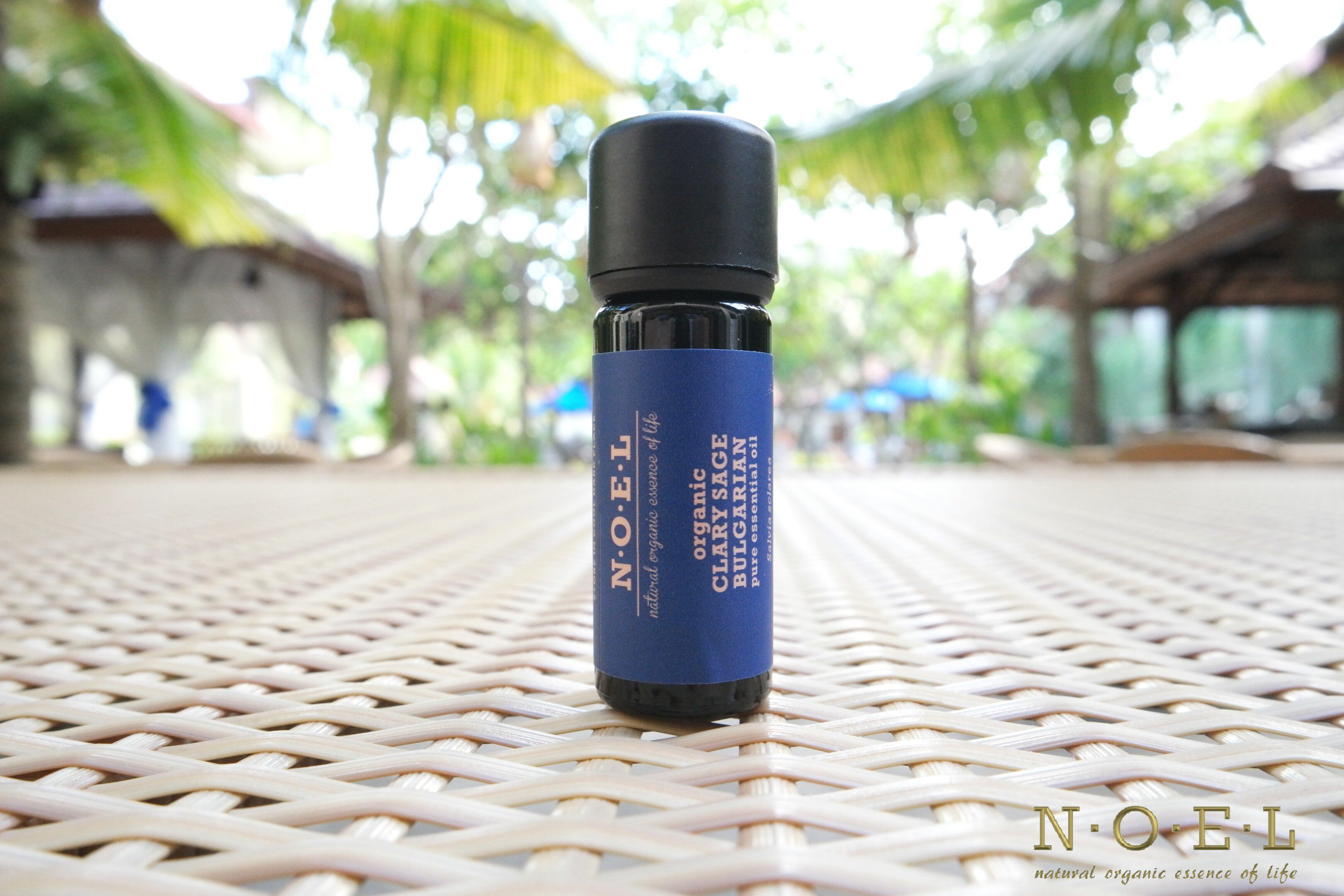 諾爾精油-有機單方鼠尾草精油（摩洛哥）-CLARY SAGE (ORGANIC)在類目 美容護膚/美體/精油, 精油芳療, 單方精油中 - 來自Buy2taobao.com提供專業的淘寶代購服務