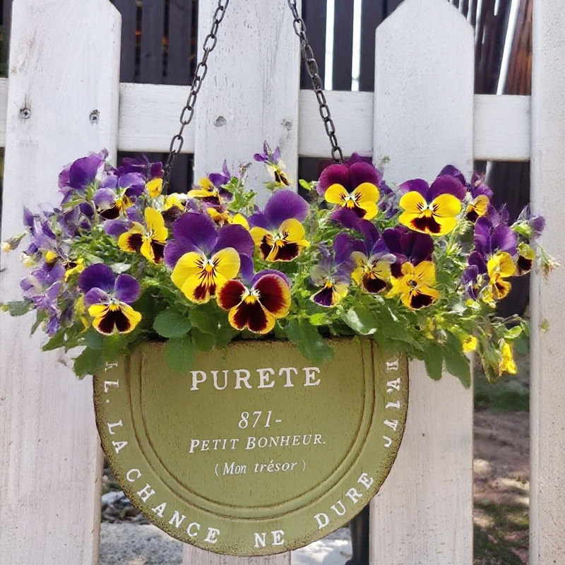 25新款做旧铁艺悬挂花盆园艺壁挂多肉花篮铁皮吊盆花架铁链吊篮,鲜花速递/花卉仿真/绿植园艺,花盆,淘宝优惠券,粉丝福利购,淘宝优惠卷