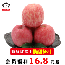 甜嘴猴 山东烟台红富士苹果新鲜水果平果脆甜多汁带皮吃 整箱包邮