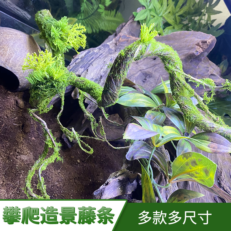 爬虫缸树藤树枝蜥蜴寄居蟹陆生攀爬造景用品爬宠仿真植物藤条装饰-封面