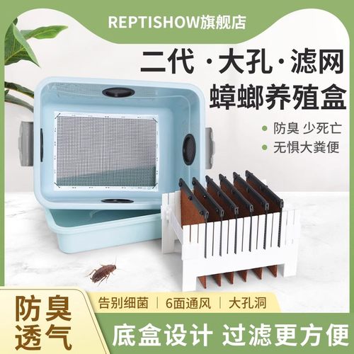 蟋蟀油葫芦爬宠养殖饲养盒