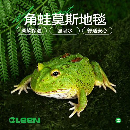 其鳞爬宠莫斯地毯垫料雨林造景树蛙牛蛙角蛙饲养箱垫材爬虫缸保湿