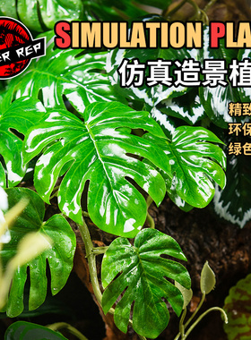 SuperRep仿真造景植物爬虫雨林缸陆龟蜥蜴睫角守宫饲养箱装饰攀爬