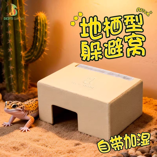 爬宠守宫躲避屋加湿造景窝洞