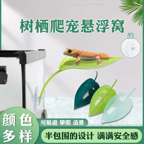 爬宠守宫树西造景悬浮窝吸盘