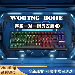 wooting键盘80he满改磁轴键盘全国空运次日达-享质保售后