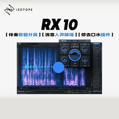 官方正版｜iZotope RX 11 智能伴奏分离消音人声降噪修去口水插件